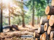 Grundstücke Lichtenfels Deutschland 95948102