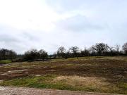 Grundstücke Muggensturm Deutschland 97240716