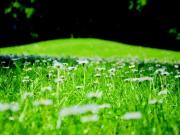 Grundstücke München Deutschland LS93756039