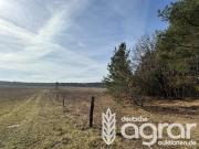 Grundstücke Wittstock Deutschland 100768320