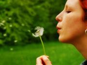 Grundstücke Wurzen Deutschland 96267895