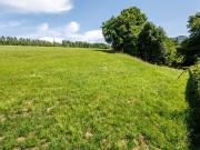 Grundstücks Juwel in sonniger Naturlage, Salzburg Itzling