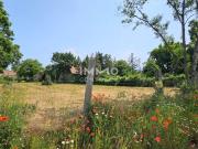 Grüne Ruhelage und doch zentral Grundstück in bester...