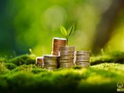 Grünes Immo Invest: 12% Rendite p.a. ab € 10.000 !...