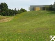 Grünland als Bauerwartungsland im OEK