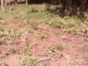 GUADALAJARA JAL.CARRETERA CHAPALA.VENTA TERRENO... GUADALAJARA JAL.CARRETERA CHAPALA.VENTA TERRENO...