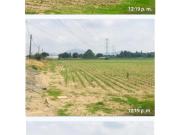 GUADALAJARA ZAPOPAN JAL PLAZA ANDARES.VENTA TERRENO 29 HCTS