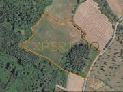 Guarda Guarda 95716015