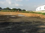 Guayaquil, Vía Perimetral Alquilo Terreno 35.000 m2...