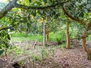 GUAYLLABAMBA PROPIEDAD EN VENTA 742MT Terreno en Venta...