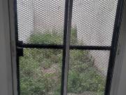 GUEMES DEPARTAMENTO P.B CON PATIO Y COCH. CON RENTA