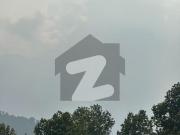 Guesthouse in Bhurban, Murree. Bhurban