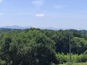 Guiche Vente Terrain 64