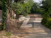 Gulberg Executive Block 4 Kanal Develop Plot