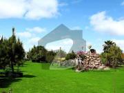 Gulberg Greens 10 Marla commercial plot