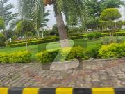 Farm House Plot In Gulberg Greens Block B