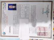Gulistan e Sarmast plots for sell Hyderabad ID 39421
