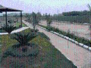 Gulmohar Valley 2 100 Sq. Yd. Plot in Lalru Mohali