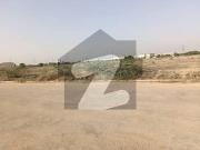 Gulshane benazir, block e, port qasim 500+ sq yds jodi