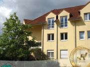 Attraktive Kapitalanlage: 3 Zimmer + Hobbyraum • Garten...