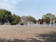 H?pico y Casa en venta y renta, Magdalena Petlacalco,...