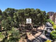 Habitación, Albacete