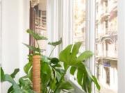 Habitación doble soleada con balcón en alquiler en piso...
