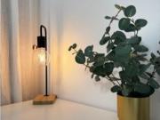 Habitación DRC60 2R3