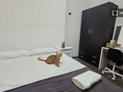 Habitación en piso compartido en LHospitalet de Llobregat