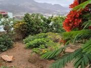 Habitación, Gáldar