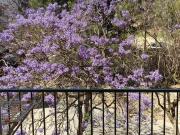 Habitación, Mercado, Alicante / Alacant