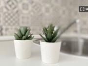 Habitación soleada cerca del centro con cama doble, WIFI...