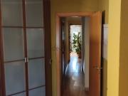 Habitación, Son Cotoner, Palma de Mallorca