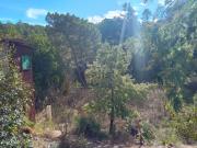 Habitación, Tordera