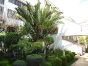Habitaciones Amuebladas