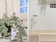 Habitaciones para alquilar en apartamento de 4...