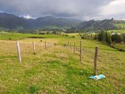 LINDO TERRENO DE 5 HAS EN VENTA SECTOR CARIACU CAYAMBE