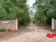 HACIENDA BUENA ESPERANZA – UNA JOYA DEL SIGLO XIX EN MAXCANÚ