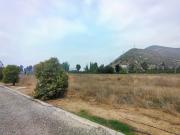 HACIENDA CALERA DE TANGO/LONQUÉN SUR