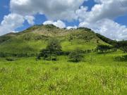 hacienda ganadera de venta en chone mongoya Y/T