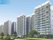 Hadapsar 1 BHK Apartment For Sale Pune
