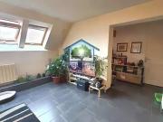 Haguenau 67500 Achat / Vente immeuble