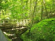 Hale Oak Road, Weald, Sevenoaks, Kent TN14, 3 bedroom...