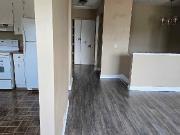 Half Duplex For Rent