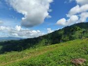 Half Hectare+ 5,448sqm Minifarm Titled Lot for Sale in... Half Hectare+ 5,448sqm Minifarm Titled Lot for Sale in...