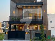 Hall in basement designer villa