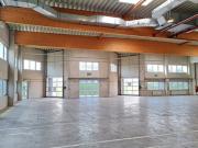 Hallen / Lager / Produktion 1700 m2 Wolkersdorf im...