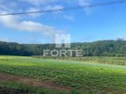 Haras e Área Rural Padrão