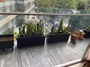 hares polanco, se renta departamento con excelentes...