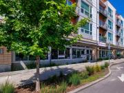 Harlow Heights The Chelsea